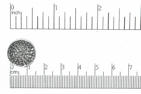 Button Antique Pewter BTN23 16.5mm Pewter Button 16.5mm Pewter Button BTN23 | Cheap Beads in Bulk  BTN23AP